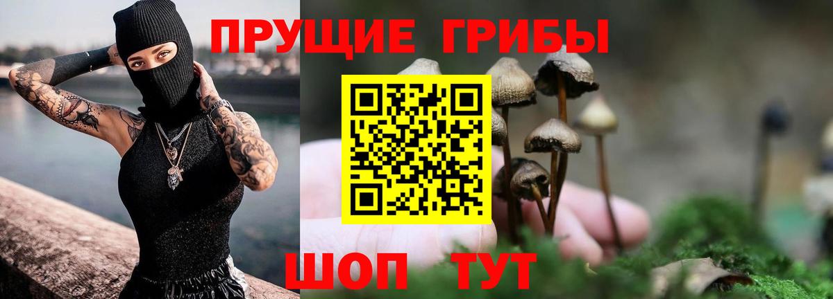 Галлюциногенные грибы Cubensis  Вход с VPN  Стрежевой  закладки  Псилоцибиновые грибы прущие грибы 